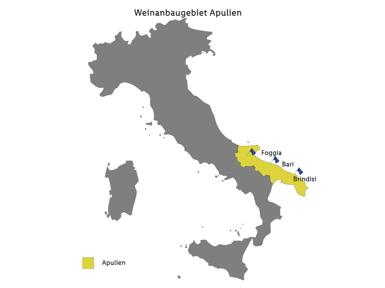 Primitivo Salento IGP trocken, Rotwein 2022 Neuheiten