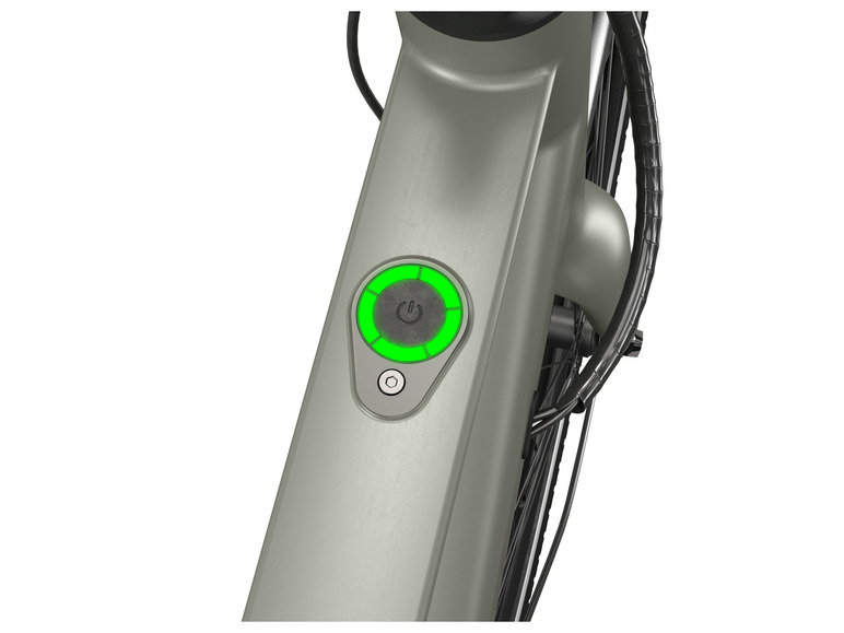 CRIVIT Urban E-Bike X.2 Olive Green Letzte 2 Tage