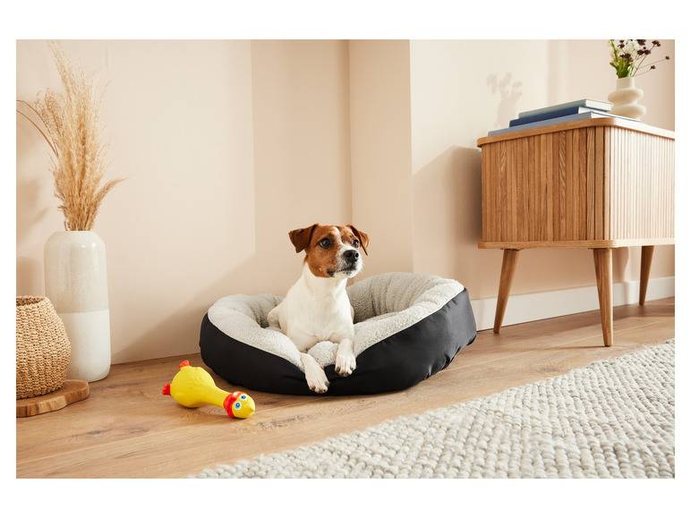 zoofari® Hundebett, mit kuscheligem Plüsch Günstig kaufen