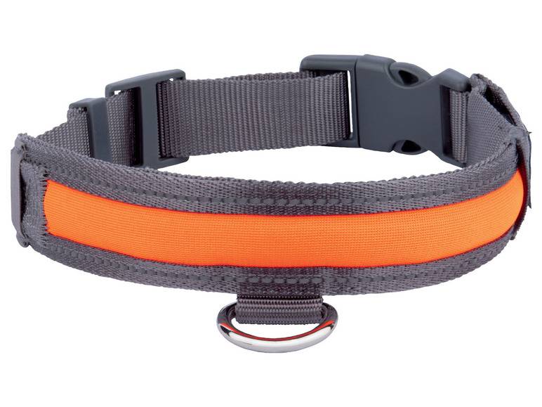 zoofari® Hundehalsband, mit LED Saisonschlussverkauf