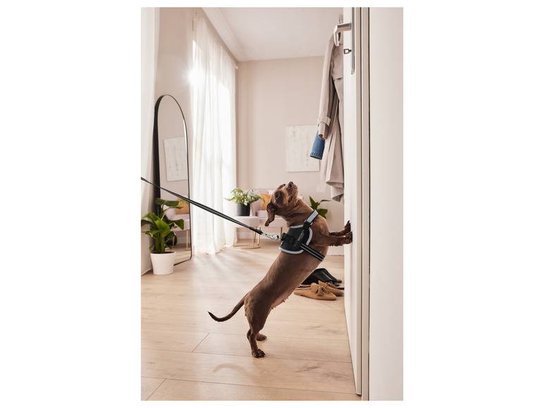 zoofari® Hundegeschirr, mit Klettstickern Black Friday