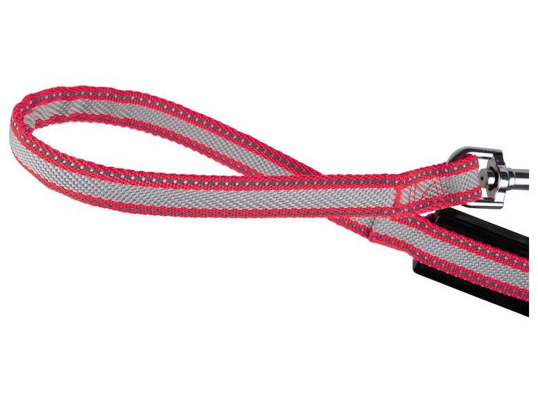 zoofari® Ausziehleine LED, 3 Leuchtfunktionen Weihnachtsangebot