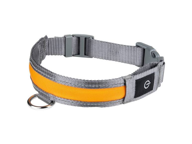 zoofari® LED-Hundeleuchtband, mit wiederaufladbarem Akku Top Angebot