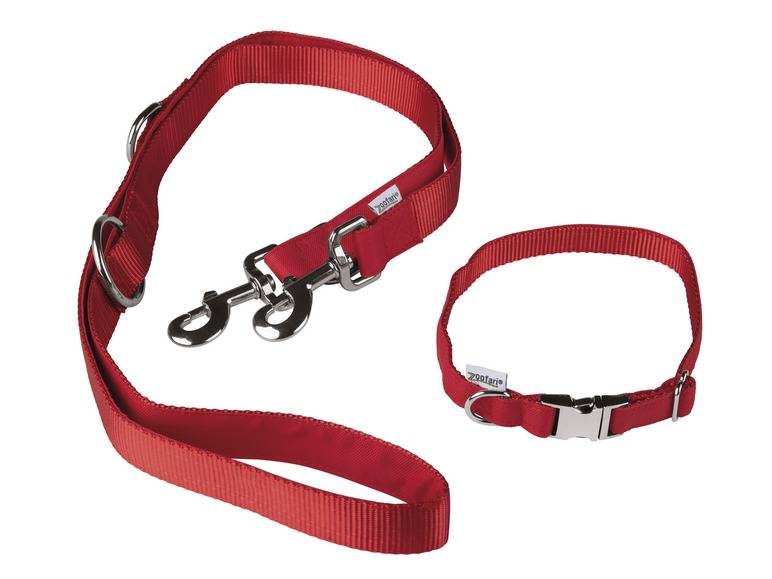 zoofari® Hundehalsband mit Hundeleine Große Rabatte