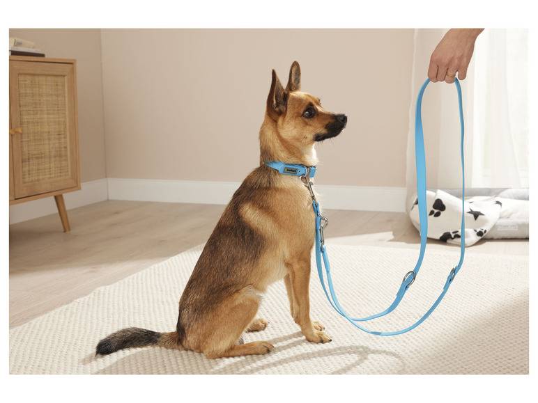zoofari® Hundehalsband und Leine, 3-fach verstellbar Räumungsverkauf