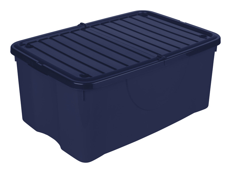 LIVARNO home Aufbewahrungsbox, 40 l 50% Rabatt für begrenzte Zeit