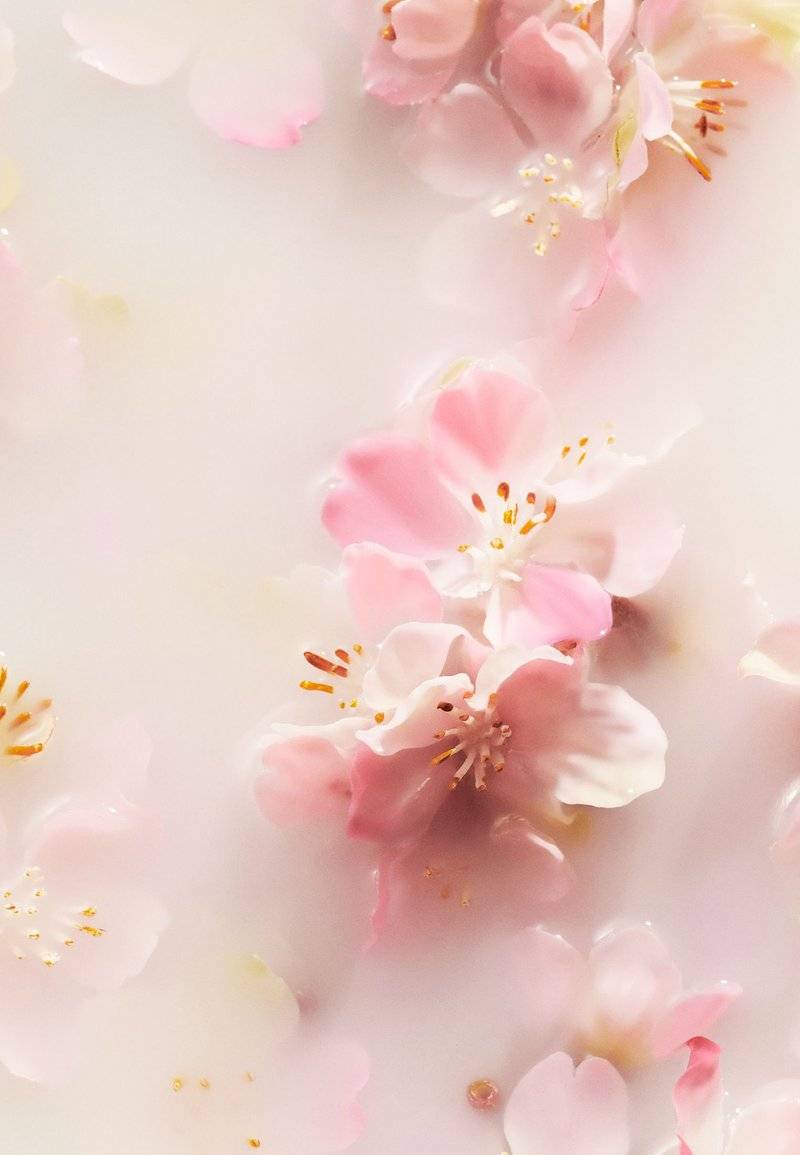 Rituals Rituals FOAMING SHOWER GEL TRAVEL SIZE THE RITUAL OF SAKURA - FLORAL - CHERRY BLOSSOM & RICE MILK - Shower gel Preisnachlass