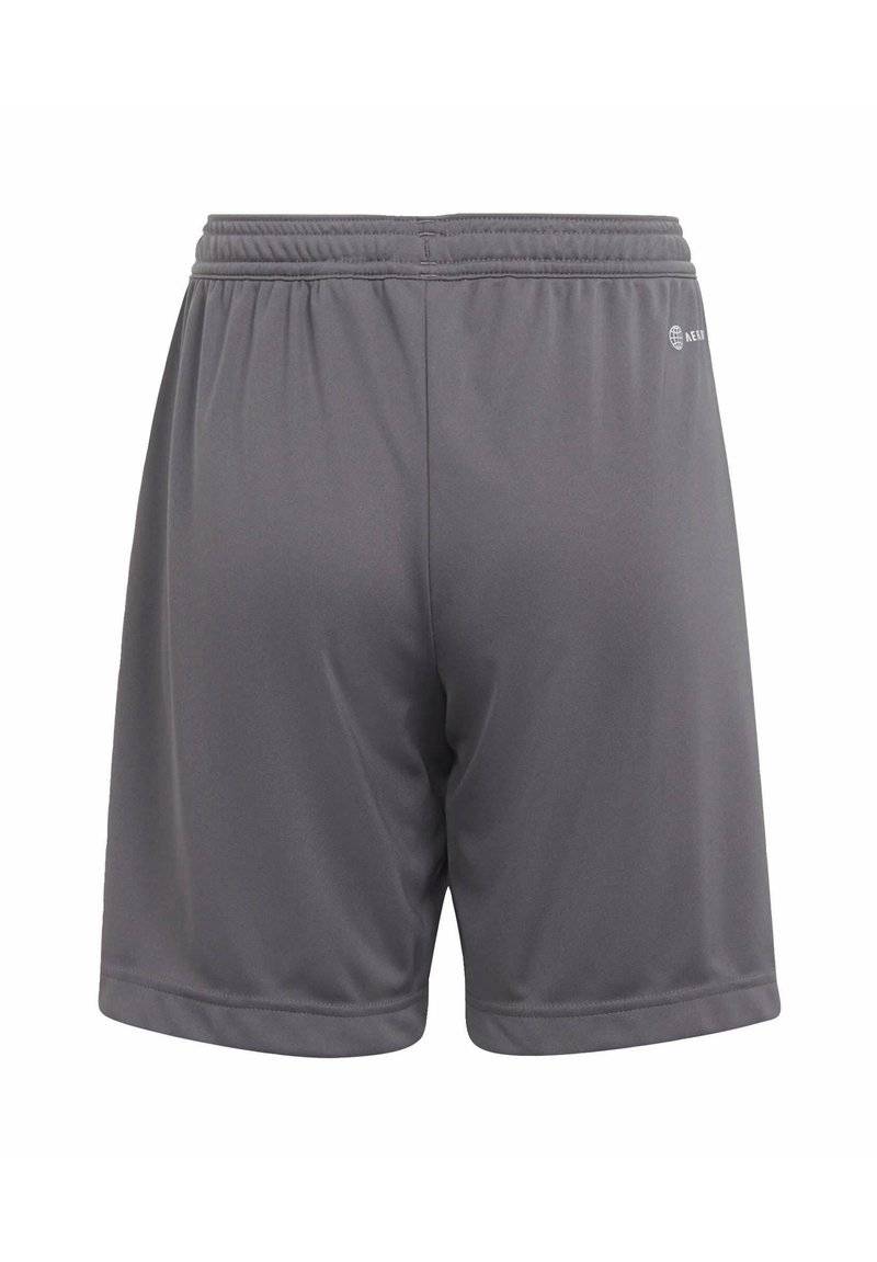 adidas Performance adidas Performance ENTRADA - Sports shorts - grey Großer Ausverkauf