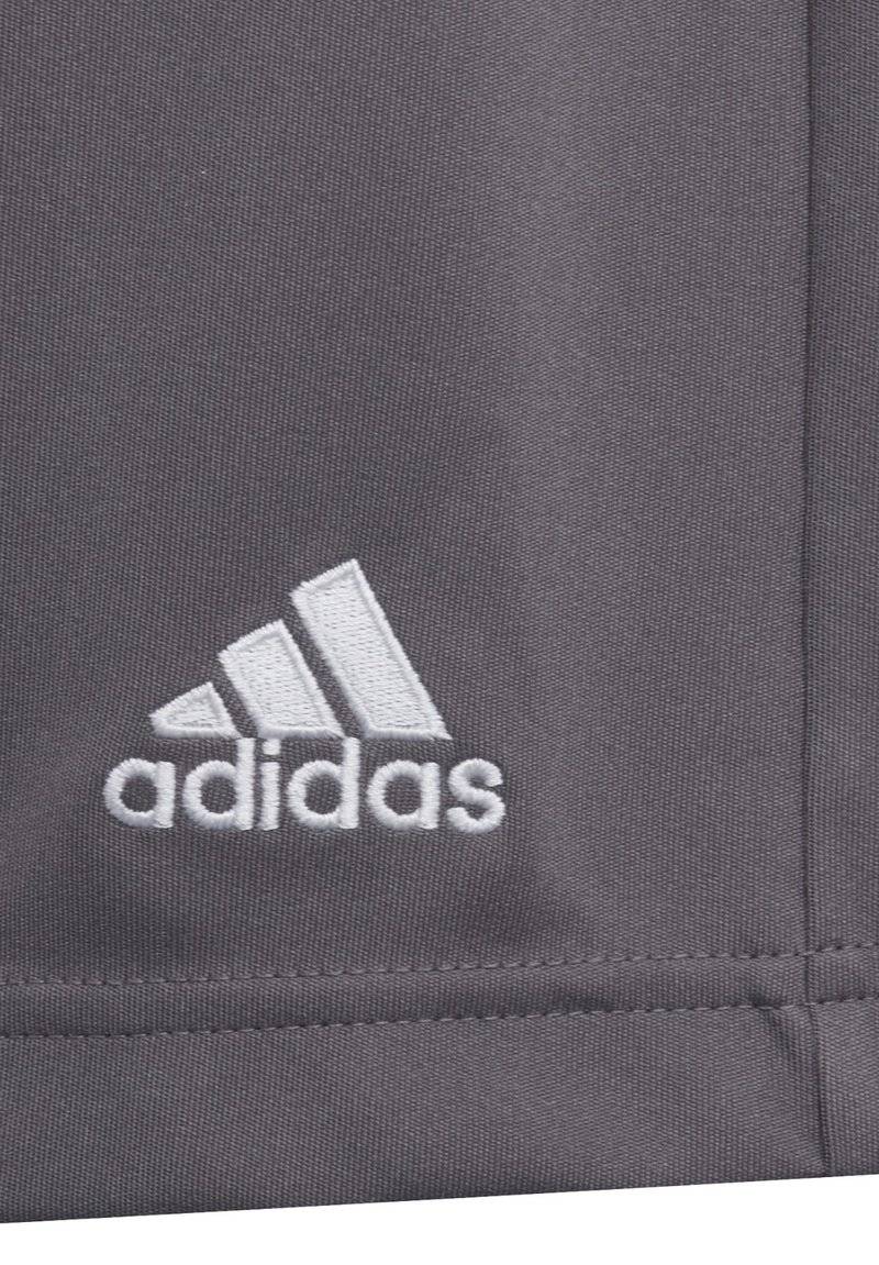 adidas Performance adidas Performance ENTRADA - Sports shorts - grey Großer Ausverkauf
