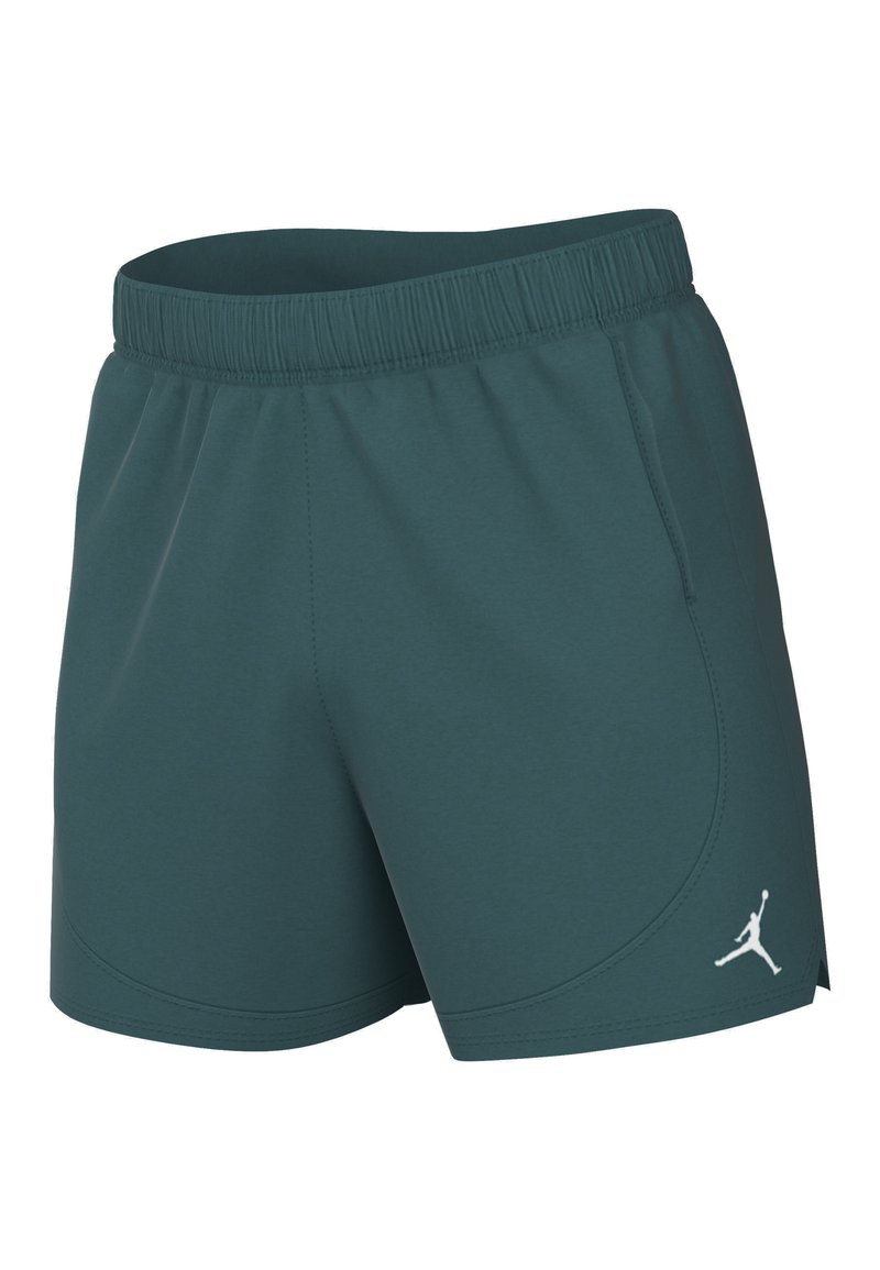 Jordan Jordan Sports shorts - oxidized green Nur noch ein Tag übrig
