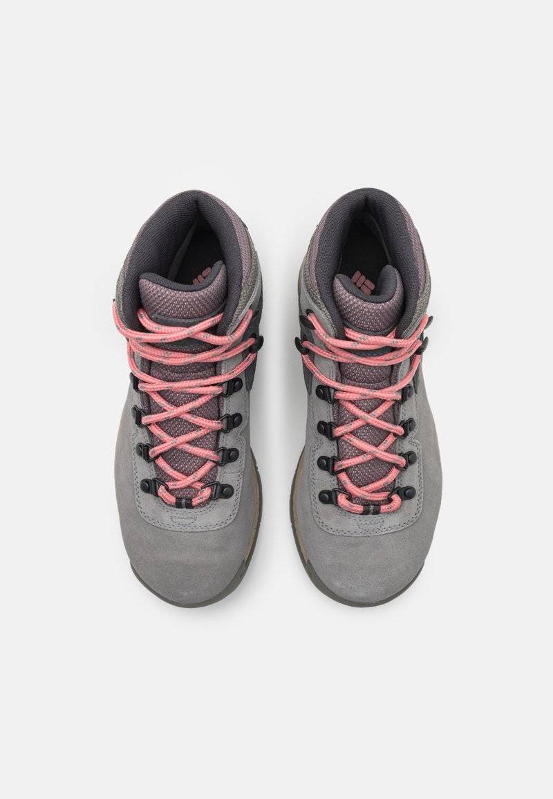 Columbia Columbia NEWTON RIDGE PLUS WATERPROOF AMPED - Hiking shoes Meist gekauft