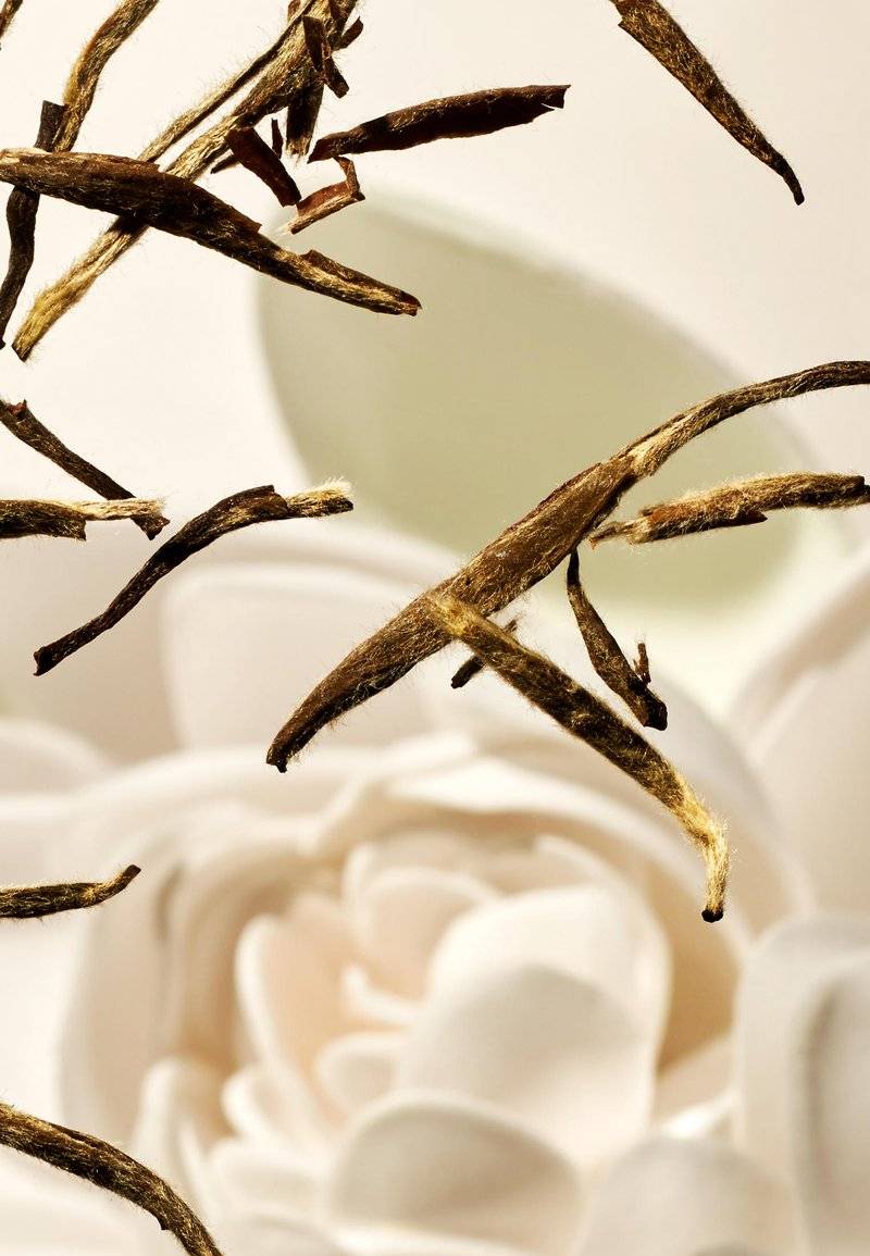 Rituals Rituals 48H HYDRATING BODY CREAM THE RITUAL OF KARMA - DELICATELY SWEET - LOTUS & WHITE TEA - Moisturiser Neueste Stile